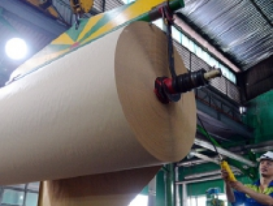 TRUNG QUỐC THU GOM GIẤY CUỘN Ở VIỆT NAM