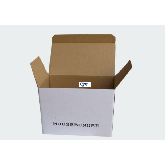 THÙNG CARTON 3 LỚP MẪU 2